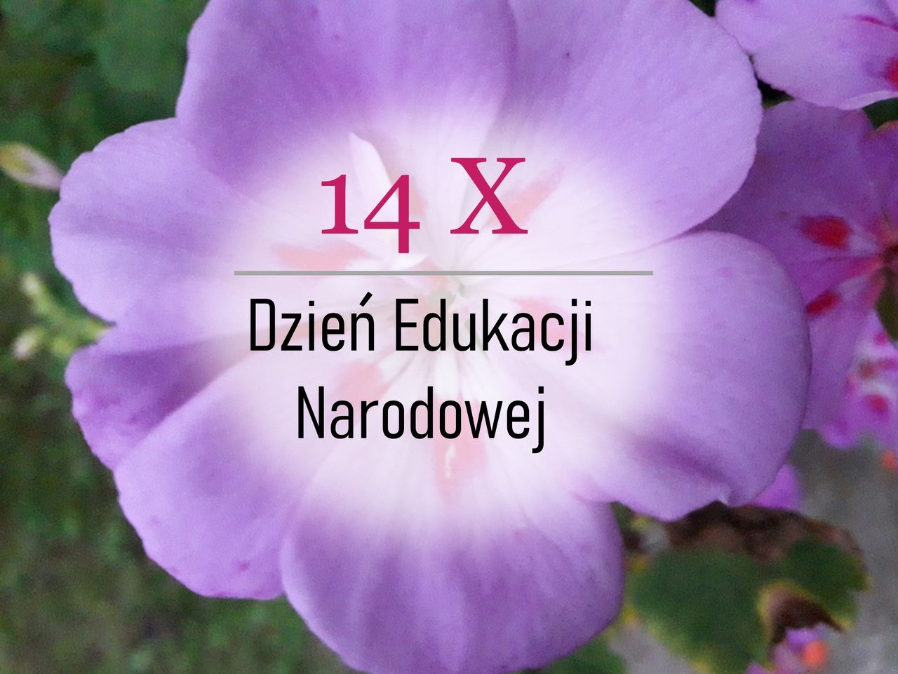 Życzenia z okazji Dnia Edukacji Narodowej